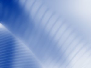 域名竞价常见问题：域名被抢注
